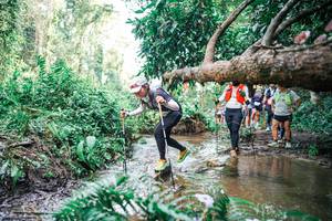 BIB: 
                            <button type="button" onclick="openModal(25515471)" class="btn btn-primary btn-sm float-right btn-popup" data-toggle="modal" data-target=".modal-high-quality">
                        <i class="fas fa-shopping-cart"></i> Add to Cart
                    </button>
                                            <button type="button" onclick="isThisMe(25515471, true)" class="btn btn-success btn-sm float-right btn-popup btn-isme hidden" data-toggle="tooltip" data-placement="bottom" title="นี่คือรูปของคุณใช่ไหม คลิกที่นี่เพื่อเอาเข้าอัลบั้ม">
                        <i class="fas fa-plus"></i> Add to album
                    </button>
                    <button type="button" onclick="isThisMe(25515471, false)" class="btn btn-warning btn-sm float-right btn-popup btn-isnotme hidden">
                        <i class="fas fa-ban"></i> Remove from album
                    </button>